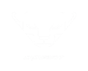 Dynafit.png