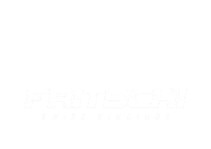 Fritschi.png